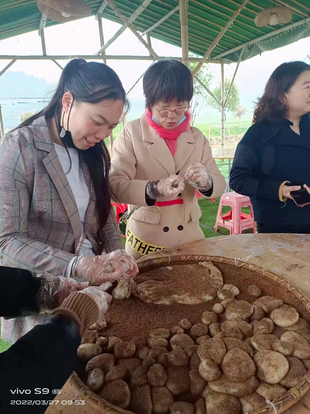 微信圖片_20220403084200.jpg