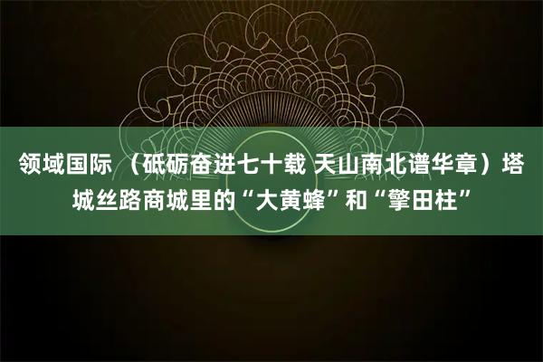 领域国际 （砥砺奋进七十载 天山南北谱华章）塔城丝路商城里的“大黄蜂”和“擎田柱”