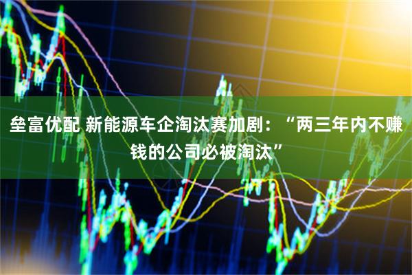垒富优配 新能源车企淘汰赛加剧：“两三年内不赚钱的公司必被淘汰”