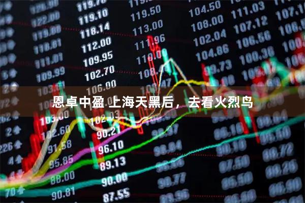 恩卓中盈 上海天黑后，去看火烈鸟