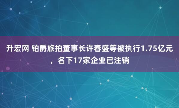 升宏网 铂爵旅拍董事长许春盛等被执行1.75亿元，名下17家企业已注销