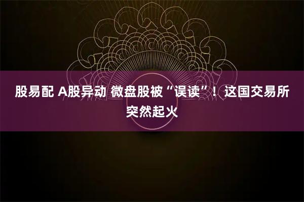 股易配 A股异动 微盘股被“误读”！这国交易所突然起火