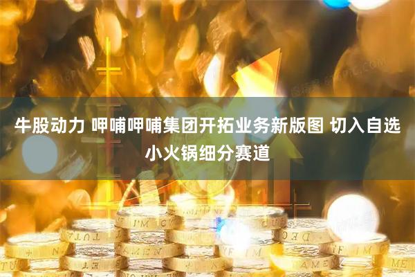 牛股动力 呷哺呷哺集团开拓业务新版图 切入自选小火锅细分赛道