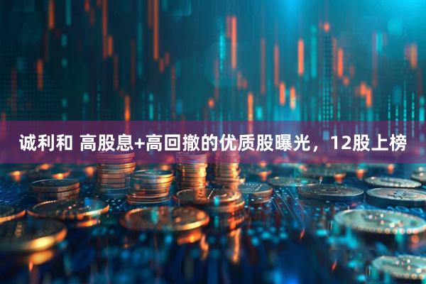 诚利和 高股息+高回撤的优质股曝光，12股上榜