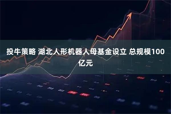 投牛策略 湖北人形机器人母基金设立 总规模100亿元